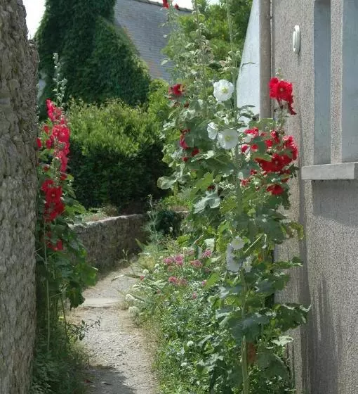 Aamiaismajoitus (B&B) La Criste Marine