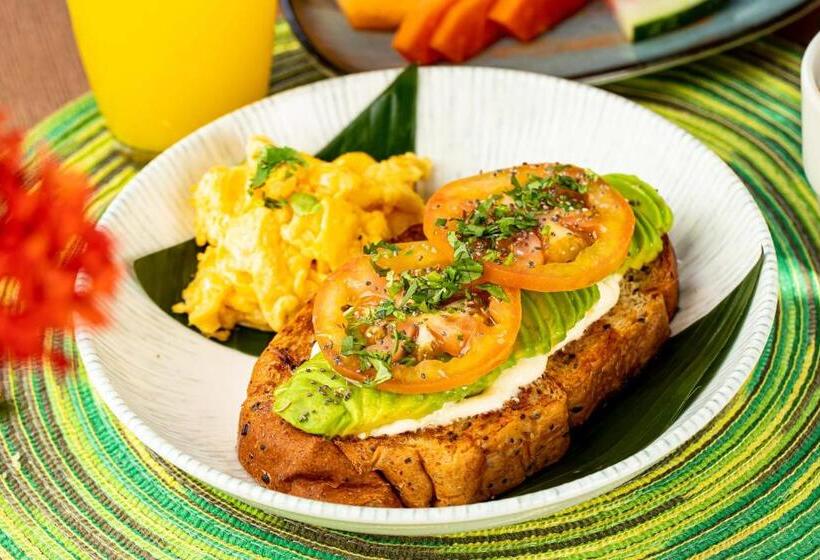 Hostal Dreamer Palomino