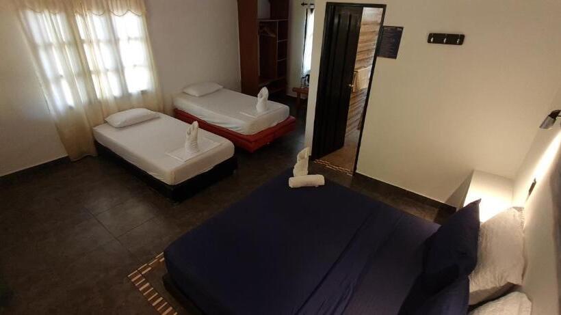 Hostal Dreamer Palomino