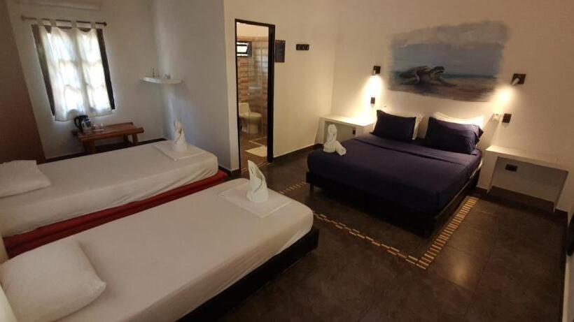 Hostal Dreamer Palomino