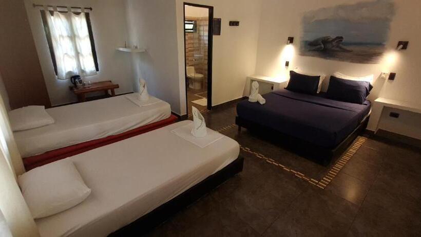 Hostal Dreamer Palomino