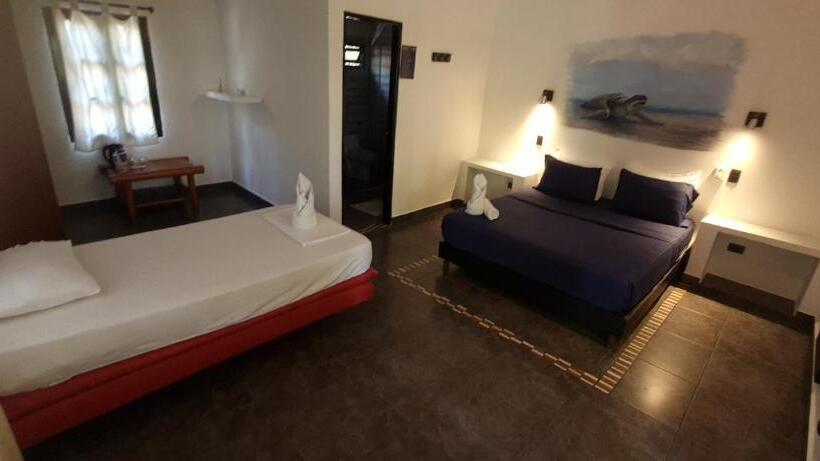 Hostal Dreamer Palomino