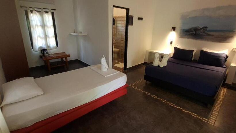 Hostal Dreamer Palomino