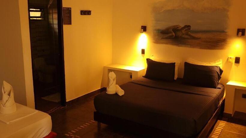 Hostal Dreamer Palomino