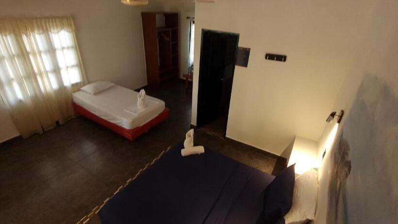 Hostal Dreamer Palomino