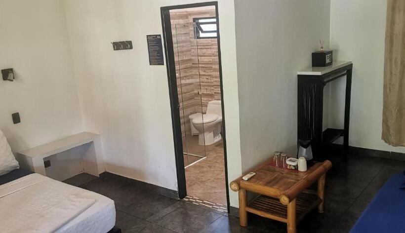 Hostal Dreamer Palomino