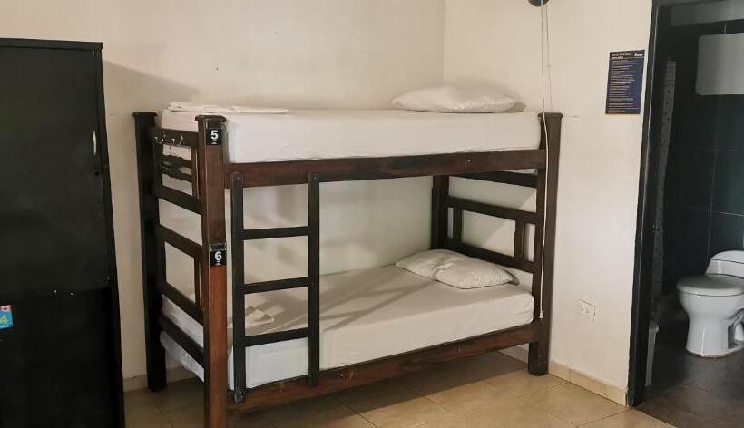 Hostal Dreamer Palomino