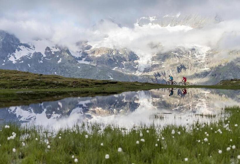 Hotel Hostel By Randolins