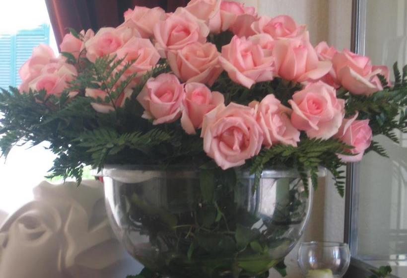 فندق Hôtel Restaurant Les Deux Frères