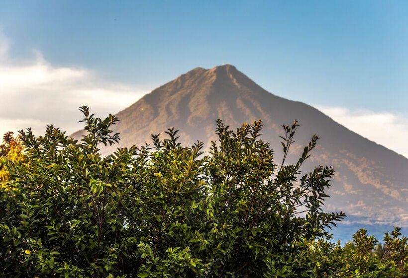 هتل Naif Boutique