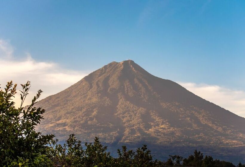 هتل Naif Boutique