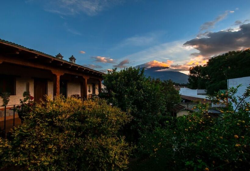 هتل Naif Boutique