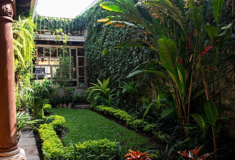 هتل Naif Boutique