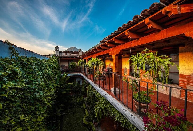 هتل Naif Boutique