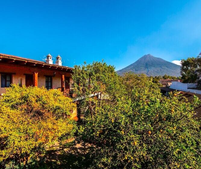 هتل Naif Boutique