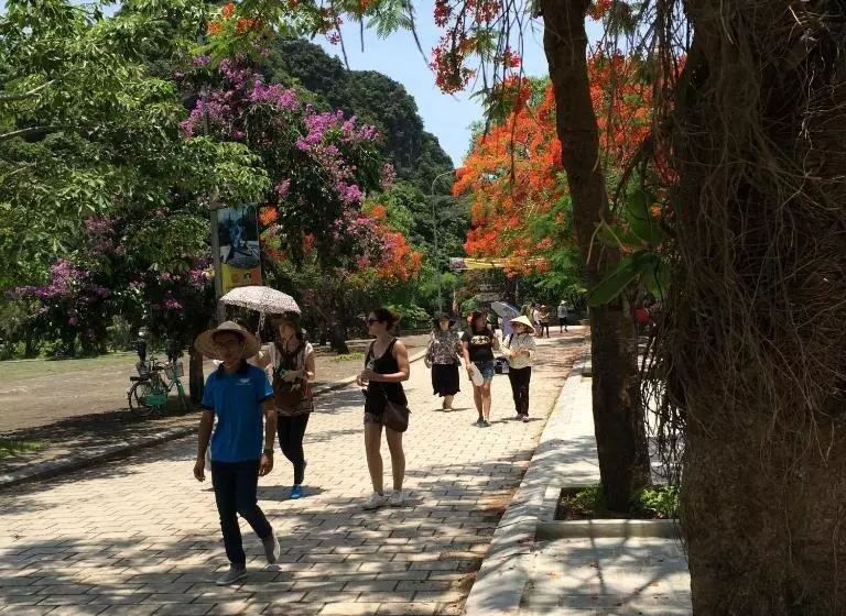 هتل Viet Nhat