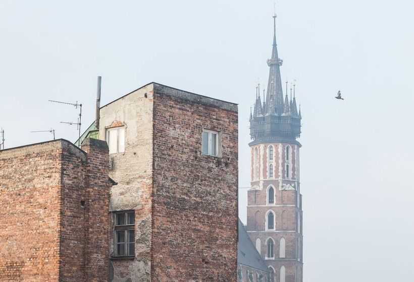 Novumhouse   Tomasza