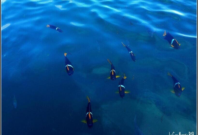 La Casa Naranja Bed And Breakfast