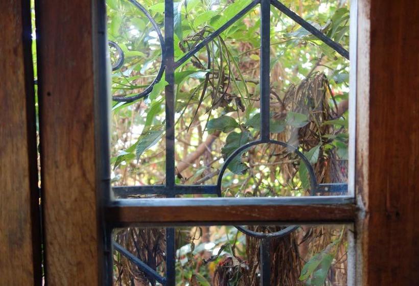 בית מלון כפרי Casa Bellavista Hostel