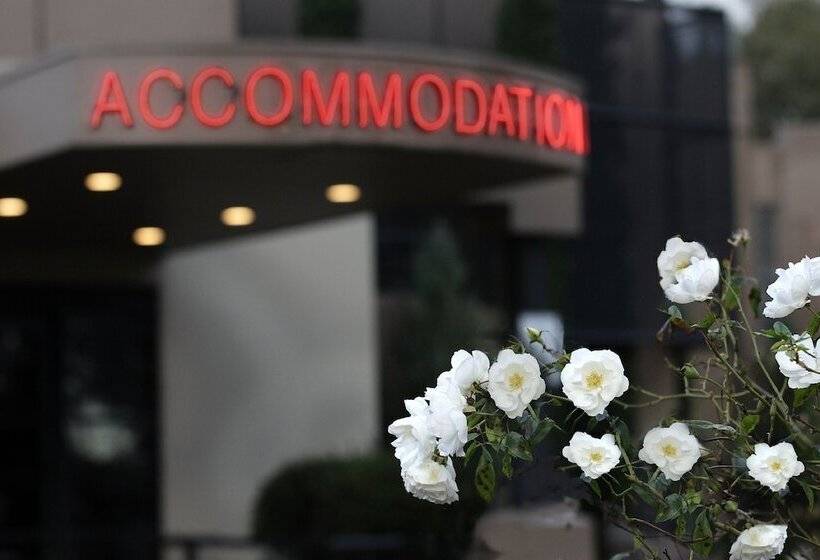 בית מלון כפרי The Dingley