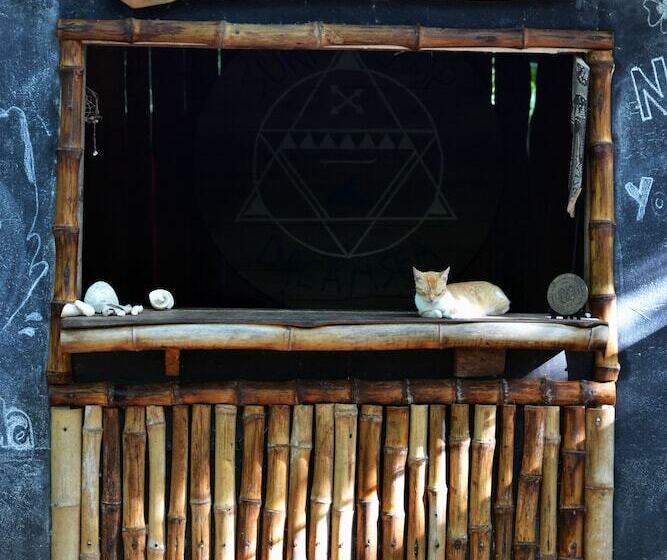 Szálloda Dreamsea Surf Camp