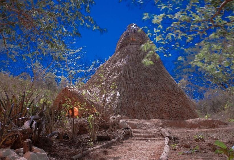 Szálloda Dreamsea Surf Camp