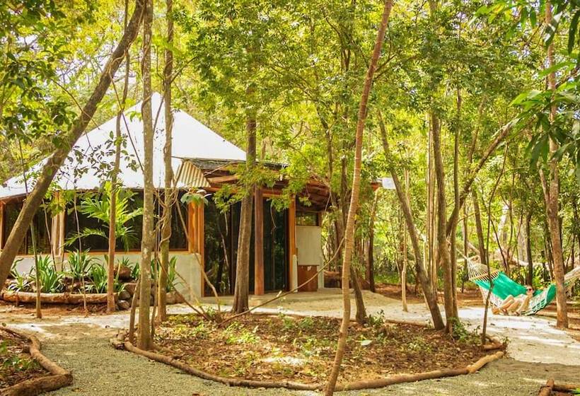 Szálloda Dreamsea Surf Camp