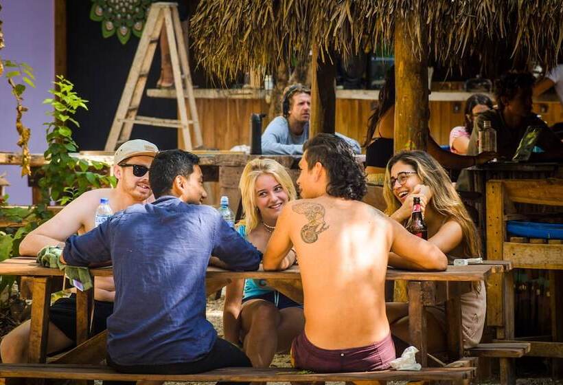 Szálloda Dreamsea Surf Camp