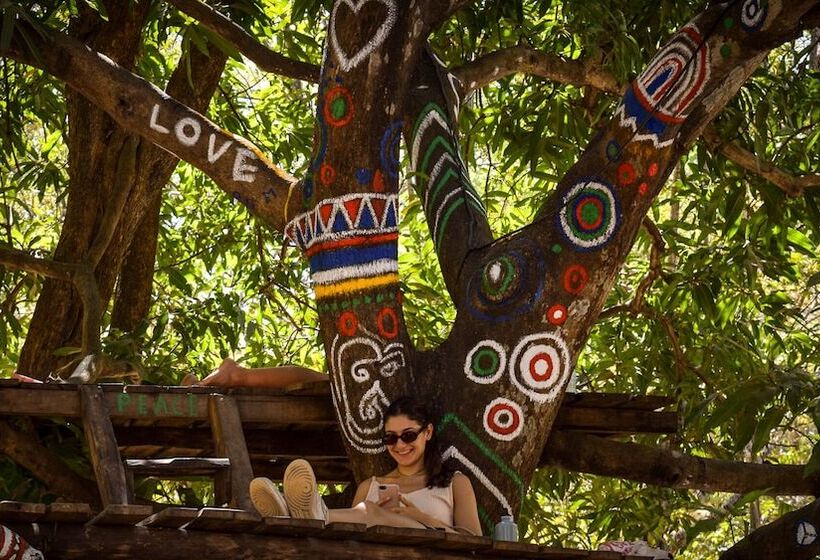 Szálloda Dreamsea Surf Camp