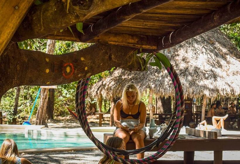 Szálloda Dreamsea Surf Camp