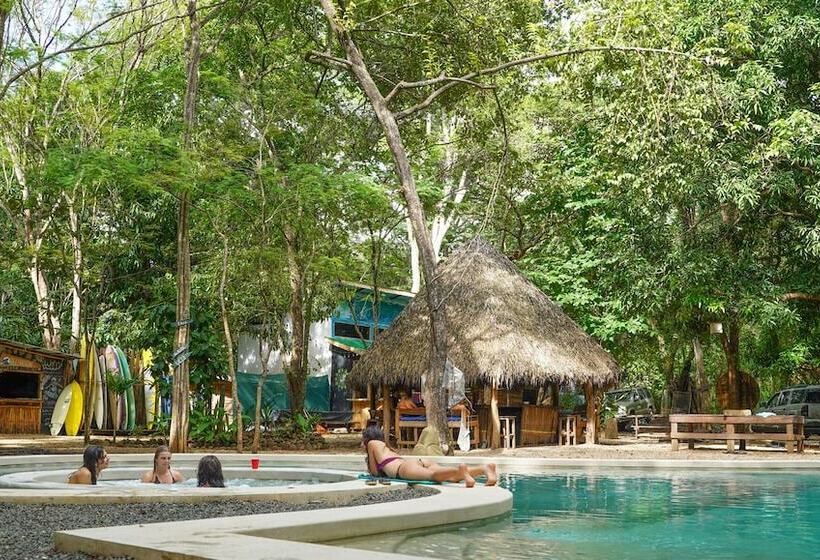 Szálloda Dreamsea Surf Camp