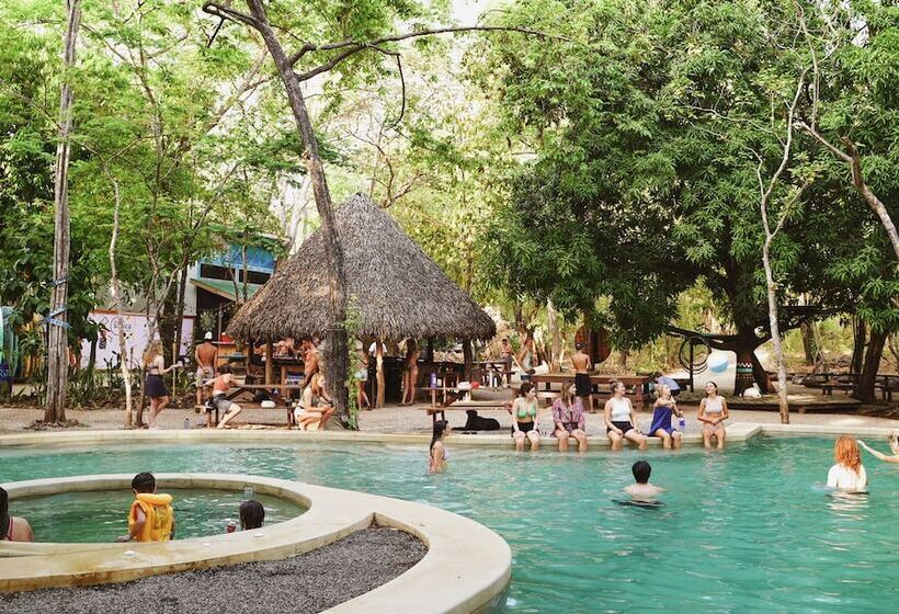 Szálloda Dreamsea Surf Camp