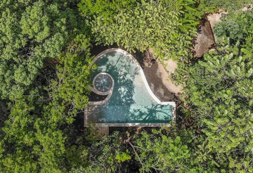 Szálloda Dreamsea Surf Camp