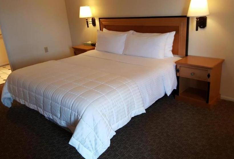 ホテル Japan House Suites