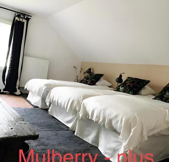 בית מלון כפרי Kasteelhof Van Loppem