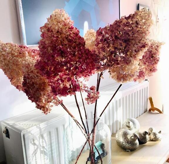 בית מלון כפרי Kasteelhof Van Loppem