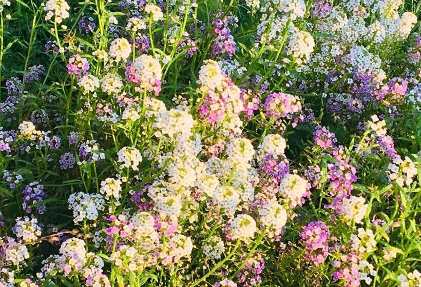 בית מלון כפרי Kasteelhof Van Loppem