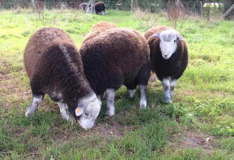 בית מלון כפרי Kasteelhof Van Loppem