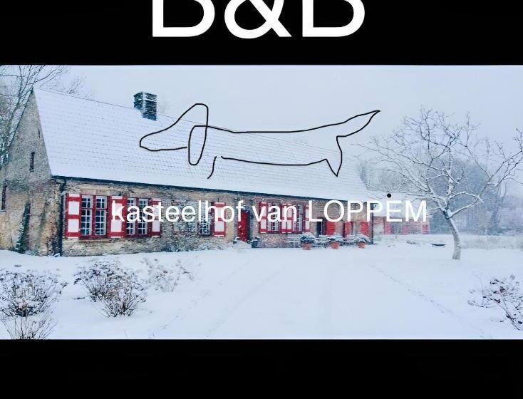 בית מלון כפרי Kasteelhof Van Loppem