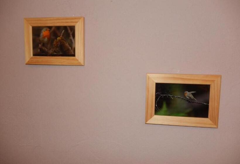 酒店 B&b Le  Ti  Bou De Refuge