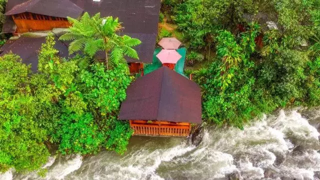 ホテル Mindo Garden Lodge And Wildlife Reserve