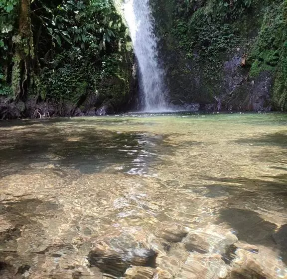 ホテル Mindo Garden Lodge And Wildlife Reserve
