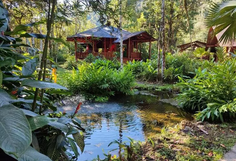 ホテル Mindo Garden Lodge And Wildlife Reserve