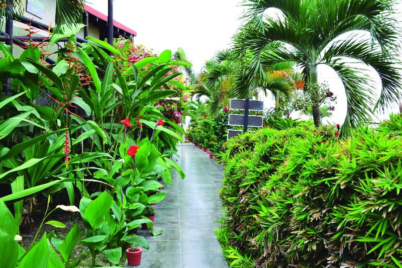 Hotel Puerto Gaviota