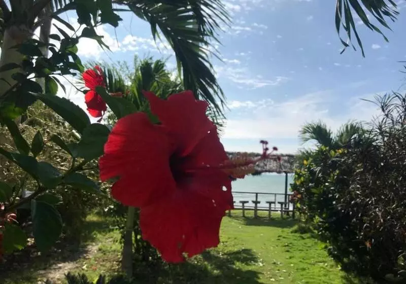 Hotelli Puerto Gaviota