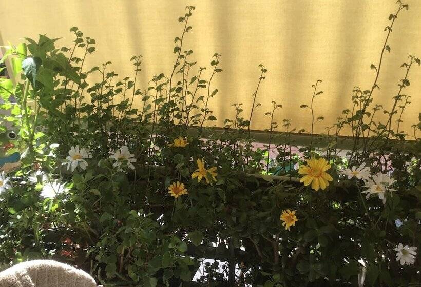 هتل Residenza Il Magnifico