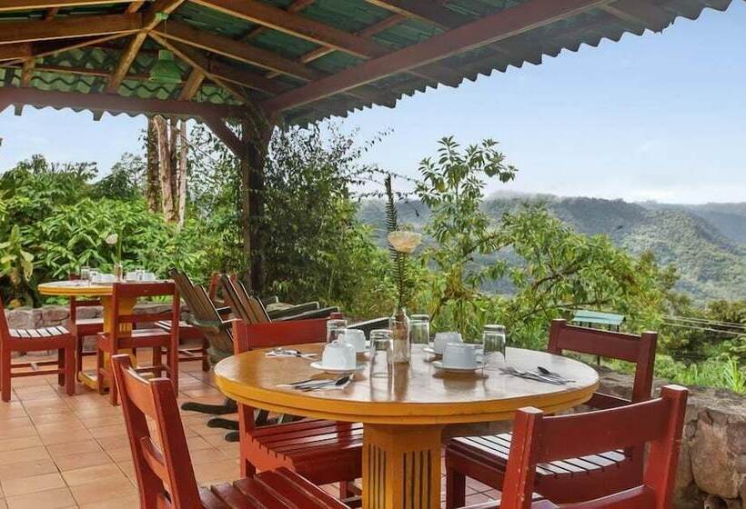 בית מלון כפרי Sachatamia Lodge