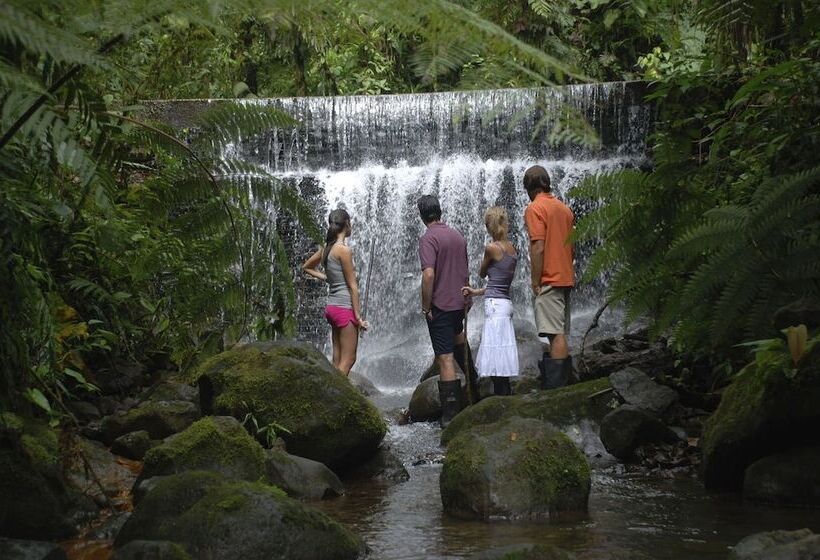 בית מלון כפרי Sachatamia Lodge