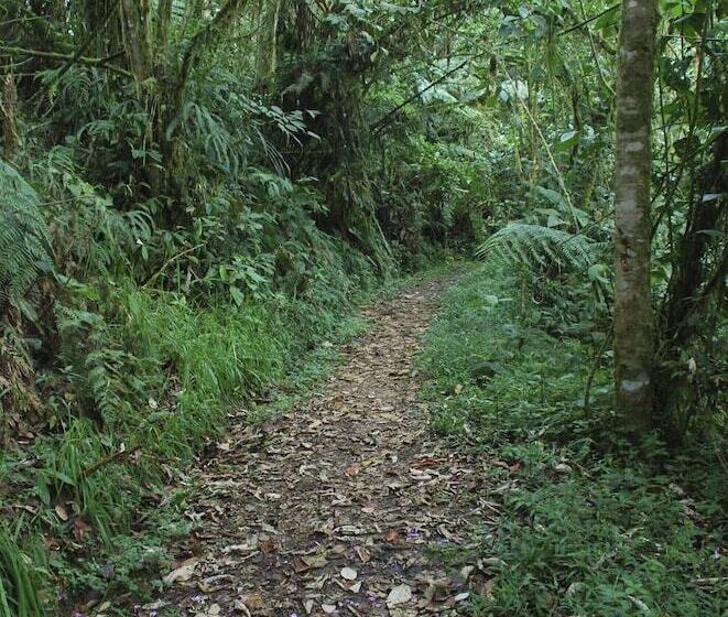 בית מלון כפרי Sachatamia Lodge