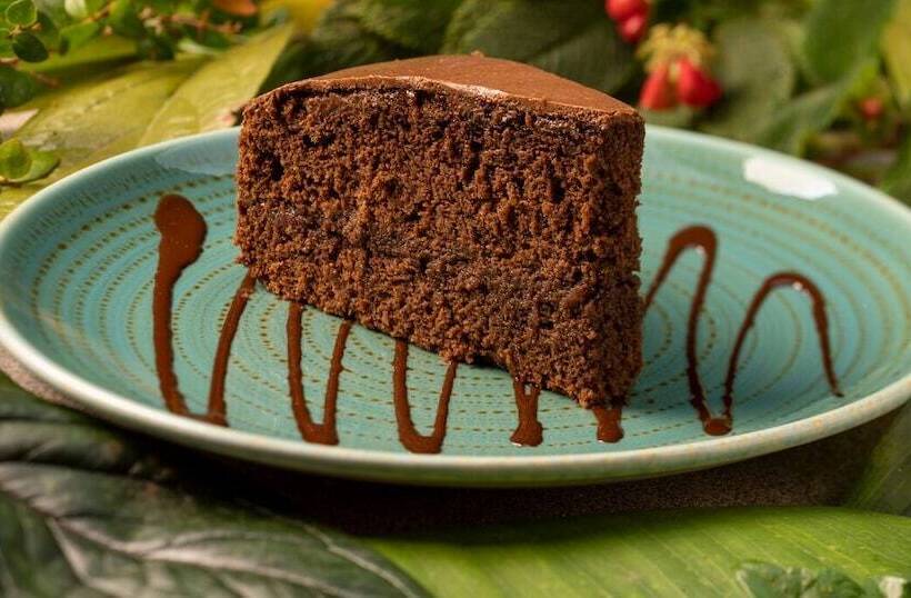 בית מלון כפרי Sachatamia Lodge